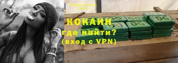 ешки Арсеньев