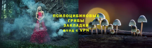 молекула духа Аркадак
